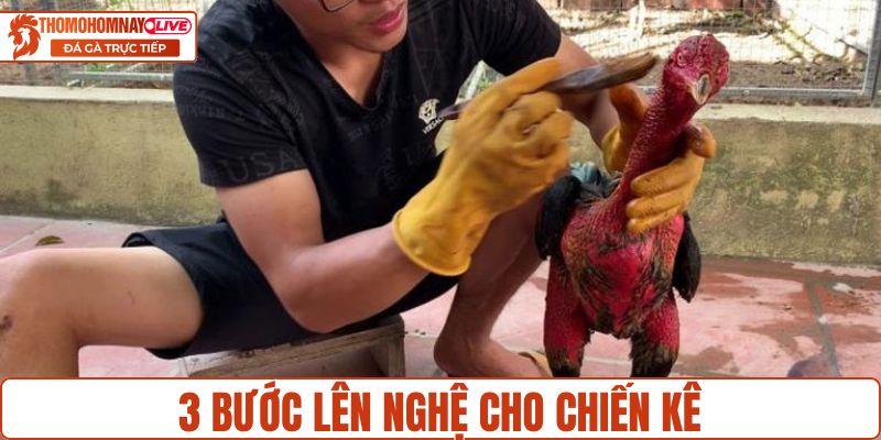 3 bước lên nghệ cho chiến kê