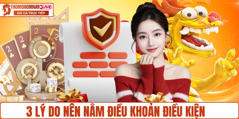 3 lý do nên nắm điều khoản điều kiện