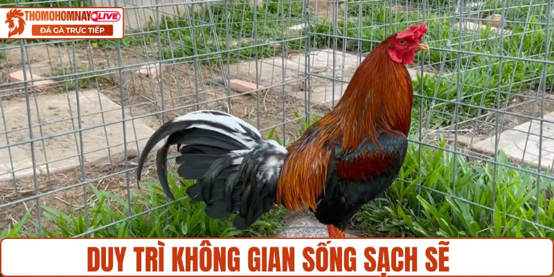 Bảo đảm không gian môi trường sạch sẽ