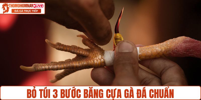 Bỏ túi 3 bước băng cựa gà đá chuẩn