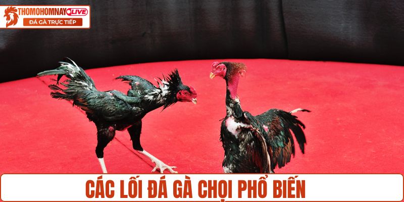 Các lối đá chọi phổ biến trên các sàn