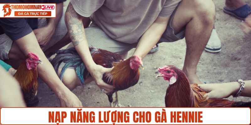 Cách nạp năng lượng cho chiến kê hennie