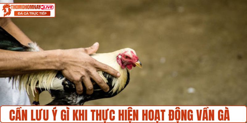 Cần lưu ý gì khi thực hiện hoạt động vần gà