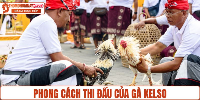 Đặc trưng phong cách thi đấu giống kelso