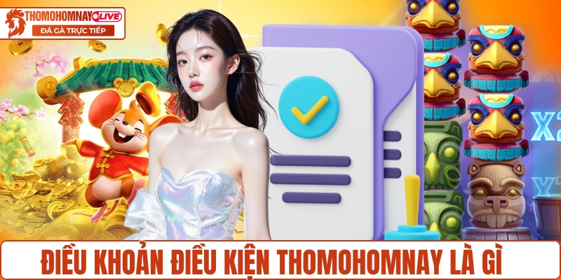 Điều khoản điều kiện Thomohomnay là gì