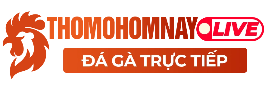THOMOHOMNAY