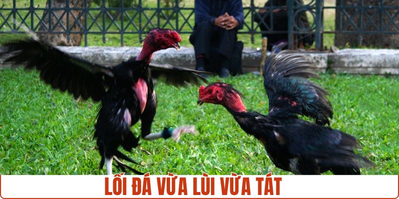 Lối đá vừa lùi vừa tát