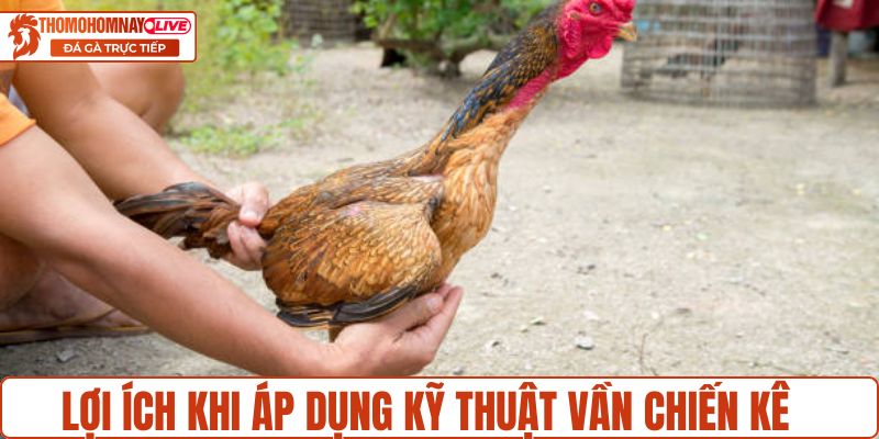 Lợi ích khi áp dụng kỹ thuật vần chiến kê