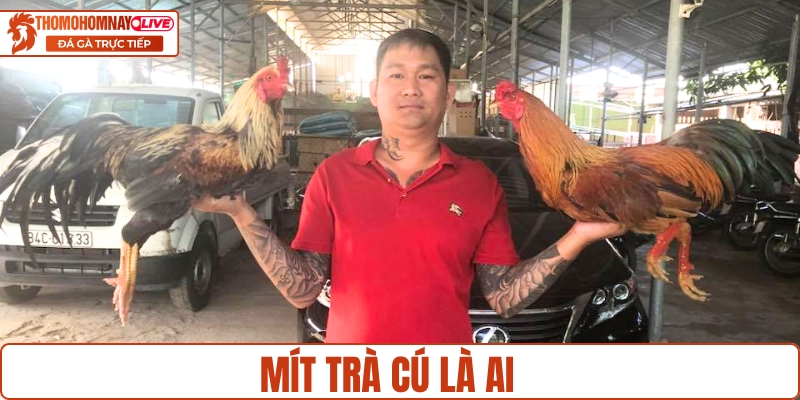 Mít Trà Cú là ai?