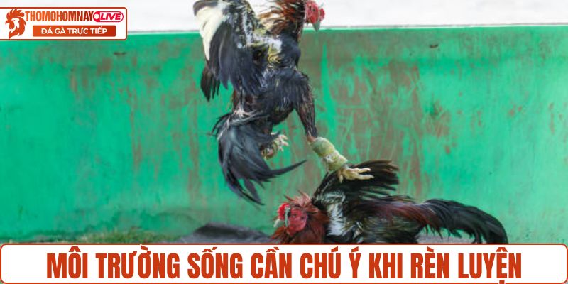 Môi trường sống cần chú ý khi rèn luyện