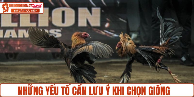 Những yếu tố cần thiết khi chọn giống