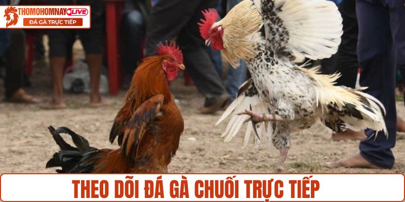 Theo dõi các trận chọi trực tiếp gay cấn
