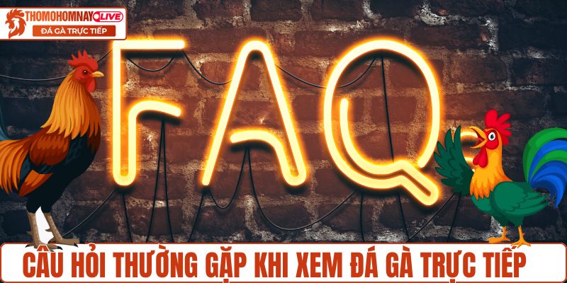Thắc mắc khi xem đá gà tại Thomohomnay