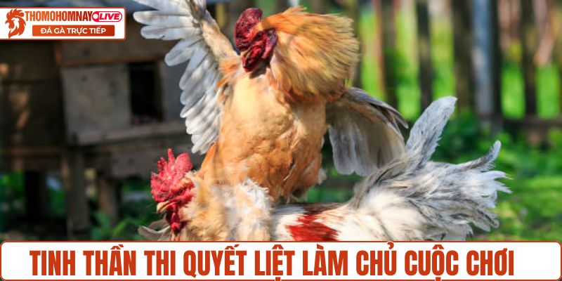 Tinh thần thi quyết liệt, làm chủ cuộc chơi