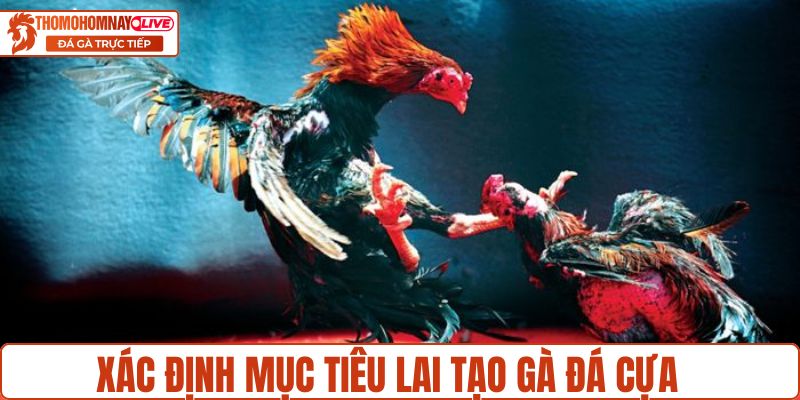 Xác định mục tiêu lai tạo gà đá cựa